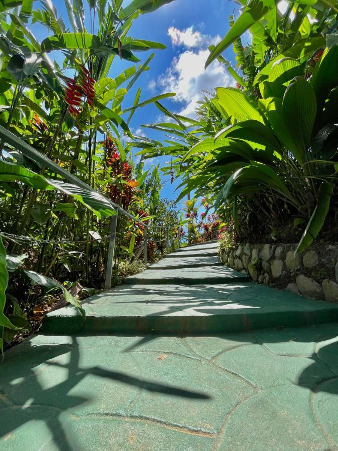 Dreams Lodge Orosi كرتاغو المظهر الخارجي الصورة