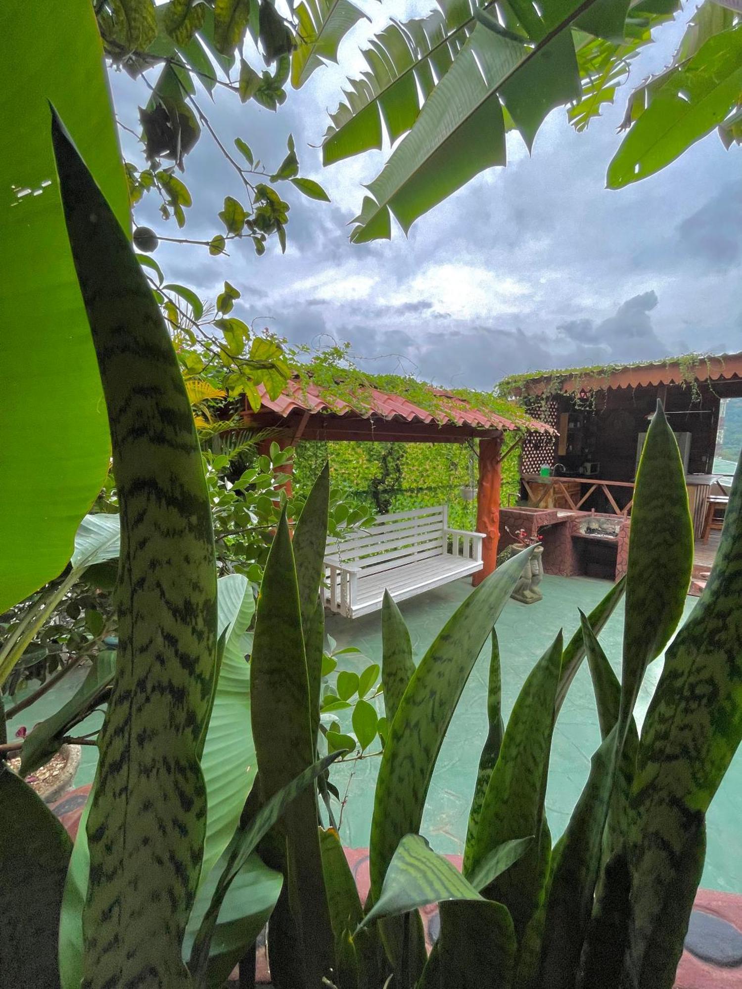 Dreams Lodge Orosi كرتاغو المظهر الخارجي الصورة